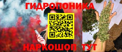эйфоретик Донецк