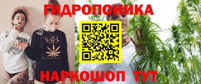 гидропоника Заводоуковск