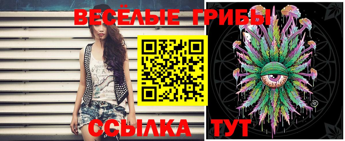 Галлюциногенные грибы Cubensis Людиново