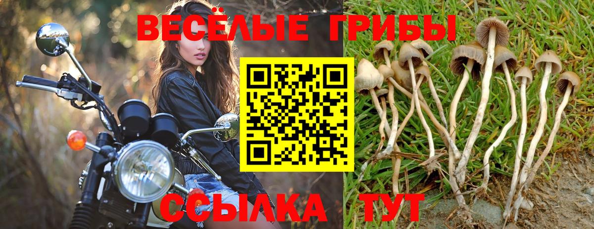 Галлюциногенные грибы MAGIC MUSHROOMS  Вход с VPN  Людиново  Галлюциногенные грибы Magic Shrooms 